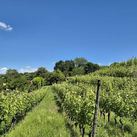 Casa Margherita *